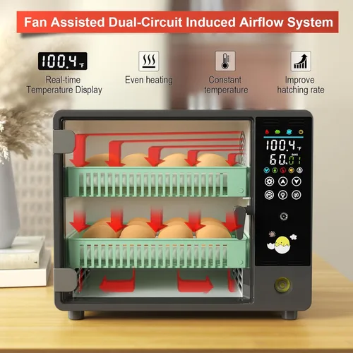 Miniatura 2 de Incubadoras Chalixion para incubar 24 huevos, incubadora de huevos con volteador automático de huevos, humidificador ultrasónico atomizado