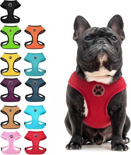 Miniatura 9 de BINGPET Arnés para perro sin tirones, arnés de chaleco tipo step-in de malla para todo clima para perros pequeños, arnés de malla transpirable