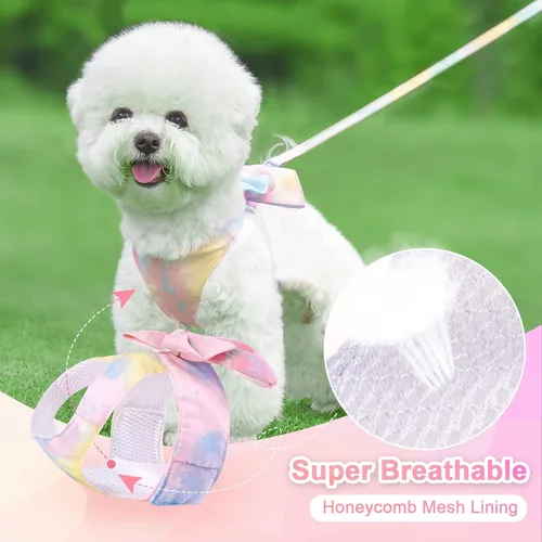Miniatura 5 de PETCARE Elegante juego de arnés y correa con moño para perros, arnés de arcoíris elegante para cachorros sin tirón, arnés de malla suave