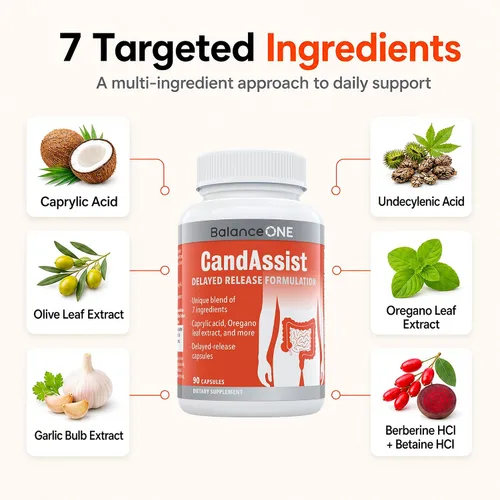 Miniatura 2 de Balance ONE Candida Cleanse Suplemento de apoyo para mujeres y hombres – Apoyo digestivo con ácido caprílico, orégano, berberina y ácido