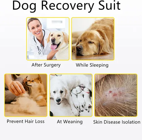 Miniatura 7 de Coppthinktu Traje de recuperación para perros, mameluco para cirugía, traje de recuperación de cirugía para perros pequeños y medianos, collar