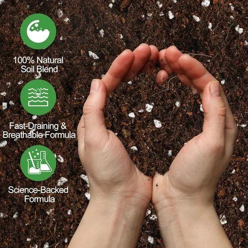 Miniatura 3 de Suelo natural puro para macetas para plantas de bambú de la suerte, 1 cuarto de galón, drenaje superior y transpirabilidad, suelo ideal para plantas