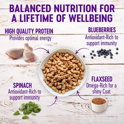 Miniatura 2 de Wellness Complete Health - Paquete de alimentos secos y húmedos para perros: alimento seco natural con granos saludables, pollo y avena, bolsa de 5