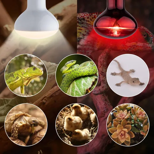 Miniatura 5 de Bombillas de calor para lámpara de día y noche, 100 W UVA luz diurna y luz infrarroja de calefacción para dragón barbudo, tortuga, lagarto