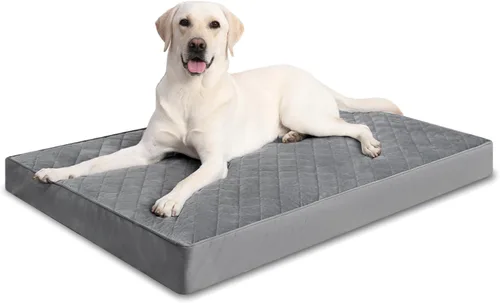Miniatura 15 de NUPIDA Camas ortopédicas para perros pequeños, impermeables, con funda extraíble lavable y parte inferior antideslizante, cama acolchada para perros