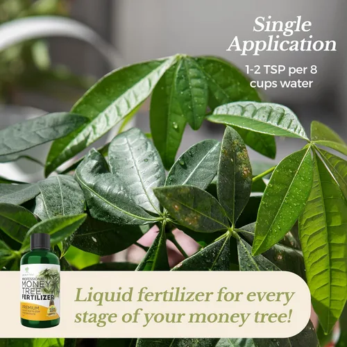 Miniatura 9 de Abono Líquido Profesional para Árbol del Dinero Concentrado 3-1-2 para Plantas y Flores Mezcla Multiusos y Suministros de Jardinería Botella