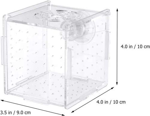 Miniatura 3 de Caja de cría de peces, caja de incubadora de incubadora, cajas de cría de peces de acuario, cajas divisorias para eclosionar, accesorio