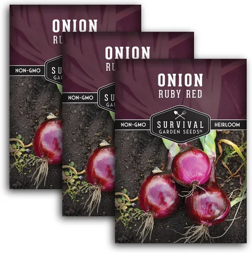 Miniatura 11 de Survival Garden Seeds Semillas de cebolla roja rubí para plantar, 1 paquete con instrucciones para cultivar cebollas en rodajas de un día largo