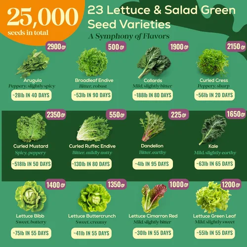 Miniatura 3 de Paquete variado de 23 semillas de lechuga y verduras para ensalada, más de 25,000 semillas de hojas tradicionales sin OGM para plantar lechugas