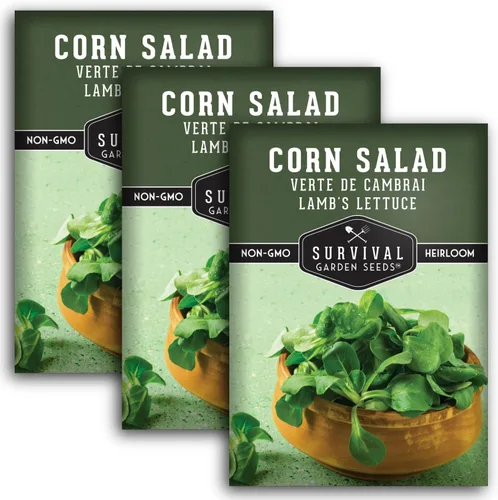 Miniatura 11 de Ensalada de maíz Verte de Cambrai Semillas para plantar, 1 paquete con instrucciones para plantar y cultivar lechuga de cordero o macé en tu huerto