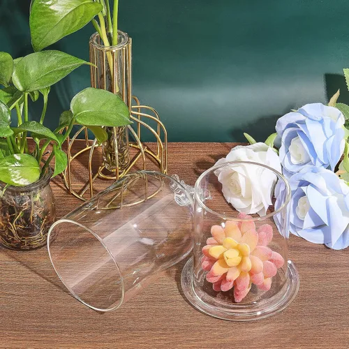 Miniatura 4 de CHGCRAFT Cubierta de cúpula de cristal con diseño de pájaro en forma de arco con base de vidrio, vitrina decorativa para portavelas, plantas