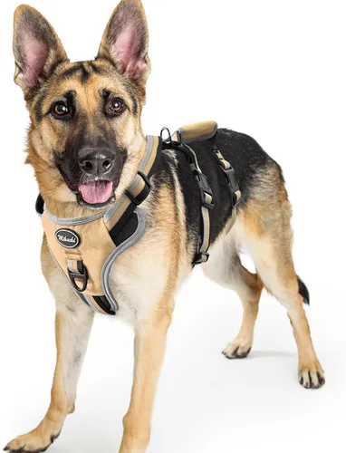 Miniatura 8 de Mihachi Arnés para perro a prueba de escapes, arnés para perro sin tirones con asa, suave acolchado reflectante y ajustable de cuerpo completo
