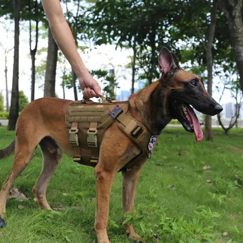 Miniatura 3 de ICEFANG GN3 Arnés táctico para perro con hebilla 6X, chaleco Molle para perro con asa, cobertura corporal 3/4, panel de gancho y bucle para parche