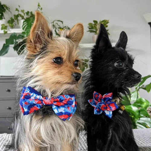 Miniatura 7 de Huxley & Kent Molinete para mascotas 4 de julio Accesorio de collar de primavera para perros/gatos Accesorio de collar de lazo para el día