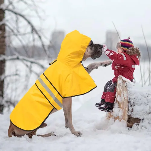 Miniatura 4 de Impermeable reflectante para perros – Impermeable ajustable para perros, impermeable ligero con capucha para perro, poncho chubasquero, chaqueta