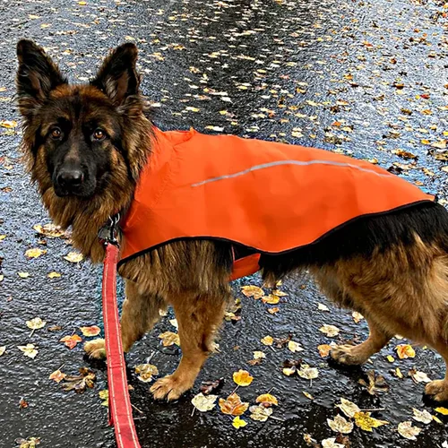Miniatura 4 de Mile High Life Impermeable para perro, Chaqueta de lluvia reflectante impermeable ajustable para perros pequeños, medianos y grandes, abrigo
