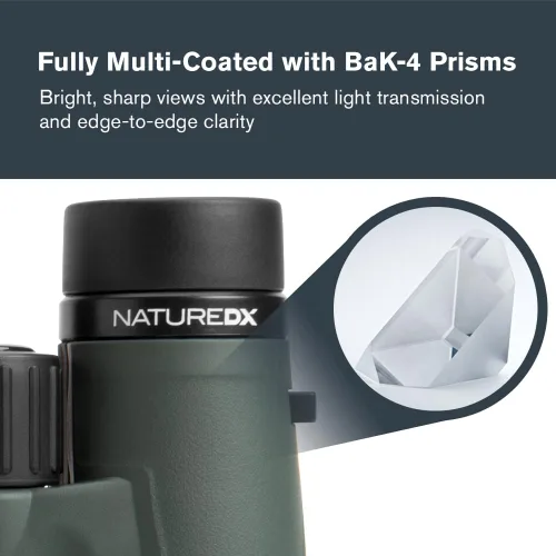 Miniatura 3 de Celestron - Binoculares Nature DX 8x42 – Ideales para Observación de Aves y Actividades al Aire Libre – Lentes Objetivas de 42mm – Amplio Campo