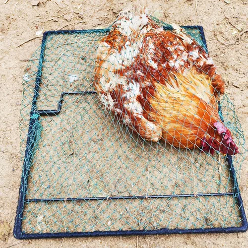 Miniatura 2 de Trampa para Aves Codorniz Paloma Control de Animales Vivos Primavera Aprisionamiento de Estorninos y Pollos