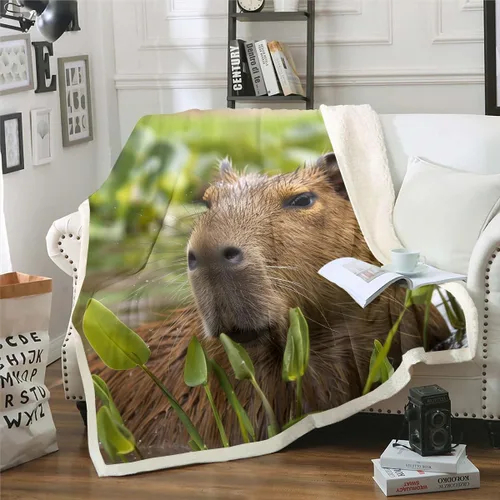 Miniatura 27 de Erosebridal Funny Capybaras Blanket Capybara Lover Gifts Cute Fleece Blanket for Kids Girls Boys, Capybara Decorations Blankets 40"x50", Kawaii