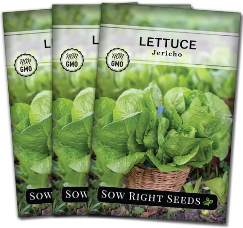 Miniatura 8 de Sow Right Seeds - Semillas de lechuga Jericho para plantar - Paquete de reliquia sin OMG con instrucciones para plantar un huerto doméstico - Al