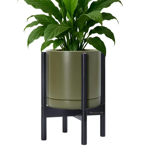 Miniatura 108 de D'vine Dev Maceta de cerámica con soporte de ébano – Maceta redonda moderna de 8 pulgadas con soporte para maceta de madera, color negro, 55-B-M-2