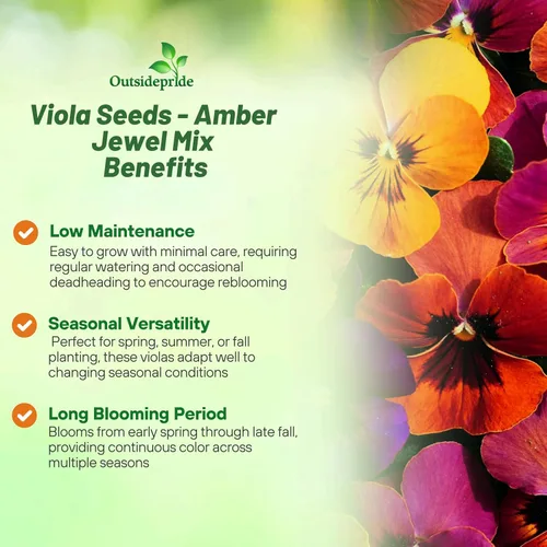 Miniatura 3 de Outsidepride Amber Jewel Mix Viola - Semillas de pensamiento para plantar, 50 unidades. Flores anuales, extendidas, resistentes al frío y aptas