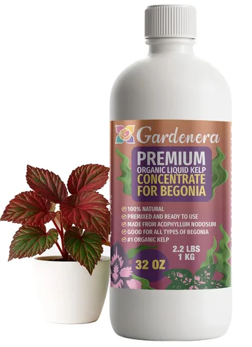 Miniatura 41 de GARDENERA Superalimento orgánico prémium de algas marinas y algas marinas para plantas AGLAONEMA, 8 onzas, concentrado de fertilizante líquido