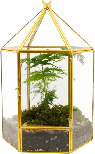 Miniatura 12 de ELEGANTLIFE Terrario geométrico de cristal para plantas suculentas, maceta de aire para decoración del hogar, jardín, oficina (casa negra)