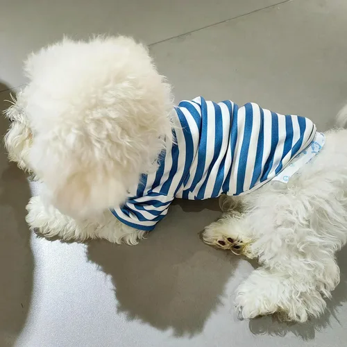 Miniatura 5 de Camisa de cuello alto para perro, lindo bordado de perrito, sudadera súper suave para perro, jersey elástico a rayas para cachorro, para gatos