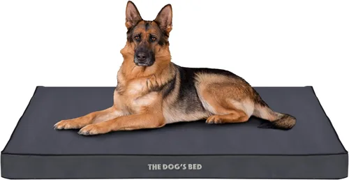 Miniatura 11 de The Dog's Bed - Cama ortopédica para perro, gris medio con ribete negro, impermeable, cama de apoyo con fundas reemplazables lavables, aprobada por