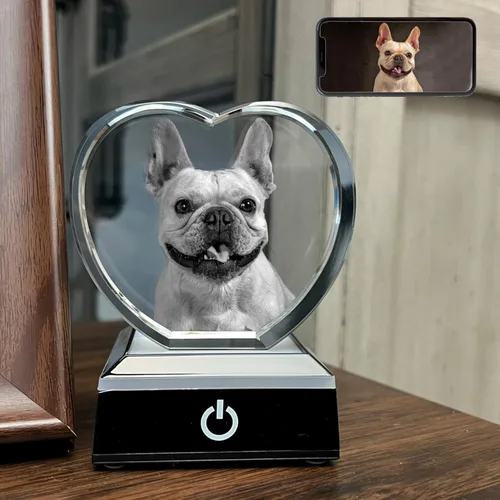 Miniatura 6 de Foto de cristal 3D personalizada, regalos conmemorativos para perros y gatos personalizados para dueños de mascotas. Caja de regalo incluida, foto