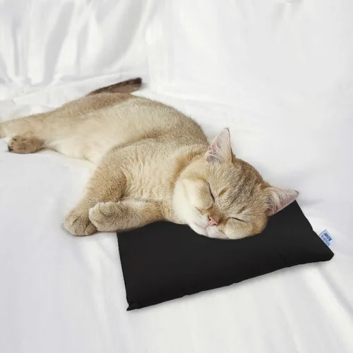 Miniatura 3 de Almohada pequeña mini para viaje, paquete de 2, 28 cm x 18 cm, almohadas pequeñas con etiqueta de nombre, para viaje y dormir, excelente almohada