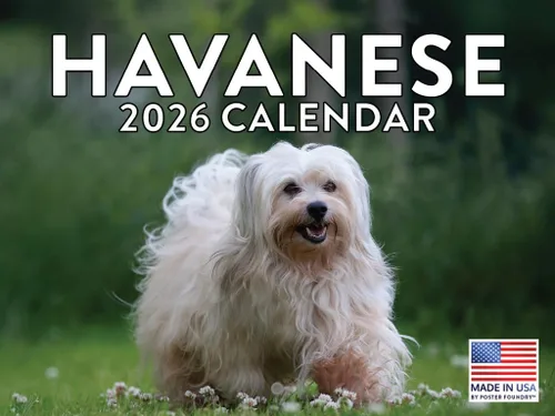 Miniatura 79 de Calendario de pared mensual 2025 Great Dane de 12 meses, fabricado en Estados Unidos