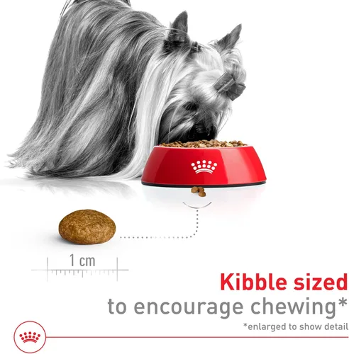 Miniatura 4 de ROYAL CANIN SIZE HEALTH NUTRITION X-SMALL comida seca para perros adultos