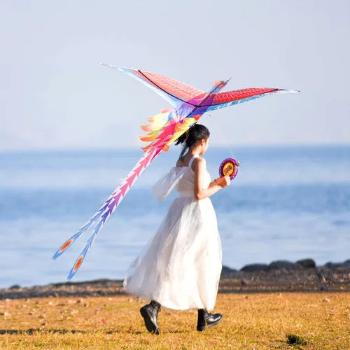 Miniatura 6 de Mint’s Colorful Life Large Kite for Kids and Adults, Easy to Fly Single Line Beach Kites, Comes with 300ft String Handle