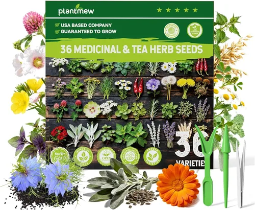 Miniatura 9 de Paquete variado de semillas de hierbas medicinales – 36 semillas de jardín de té de hierbas no transgénicas: manzanilla, lavanda, equinácea