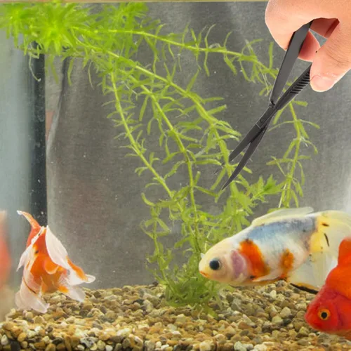 Miniatura 2 de POPETPOP Tijeras curvadas de acuario de 6.1 pulgadas, tijeras de hierba para agua, acción de precisión con resorte para paisajismo acuático y poda