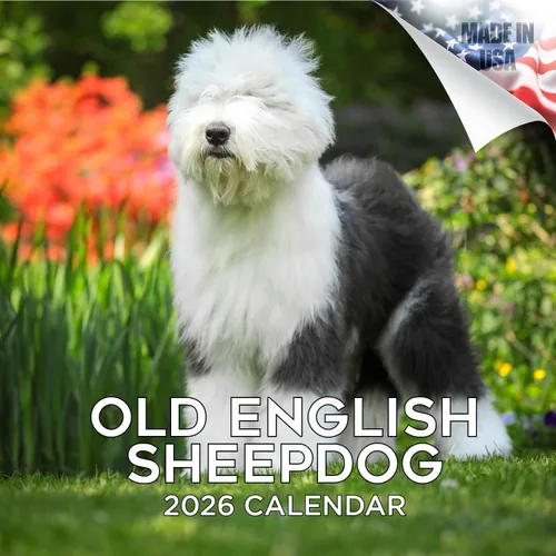 Miniatura 92 de Calendario 2025 2026 de cachorros Cocker Spaniel - Calendario mensual de pared de raza de perro - 12" x 24" abierto - Papel grueso sin sangrado