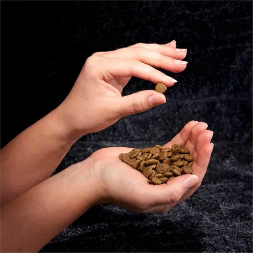 Miniatura 9 de CRAVE Alimento seco natural para gatos adultos con alto contenido de proteínas, sin cereales, con proteína de salmón y pescado del océano, bolsa