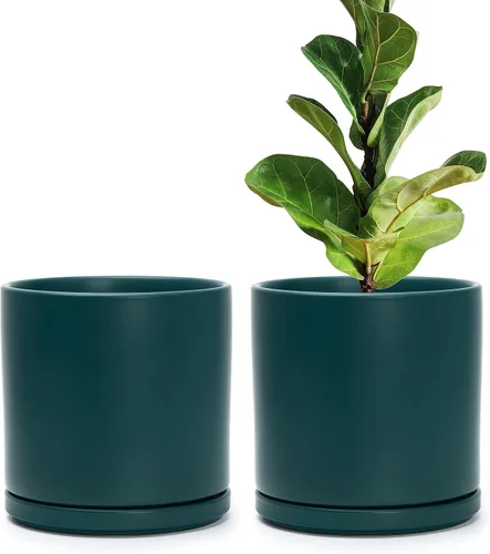 Miniatura 21 de D'vine Dev - Juego de 2 macetas de plantas de 3.5 pulgadas, maceta de cerámica para plantas con agujero de drenaje y platillo, negra, 94-V-A-2