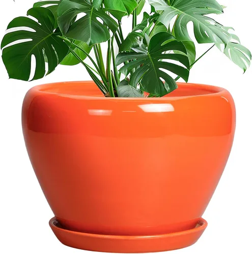 Miniatura 46 de Maceta de Cerámica Moderna con Esmalte para Suculentas con Agujero de Drenaje y Platillo, Maceta Redonda de 6 Pulgadas para Plantas de Flores