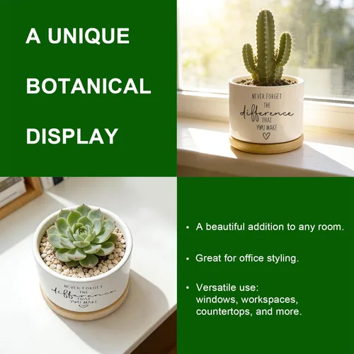 Miniatura 6 de DOFAFALA Maceta Graciosa para Suculentas, Maceta para Cactus, Regalos de Flores, Regalos Inspiradores de Apreciación para Amantes de Plantas, Nunca