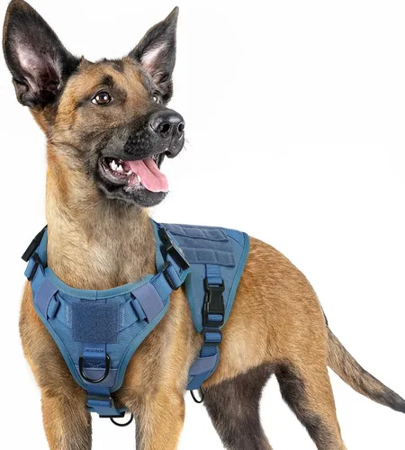 Miniatura 30 de rabbitgoo - Arnés táctico para perros pequeños, arnés resistente para mascotas con asa, chaleco de servicio sin tirones para razas pequeñas, chaleco