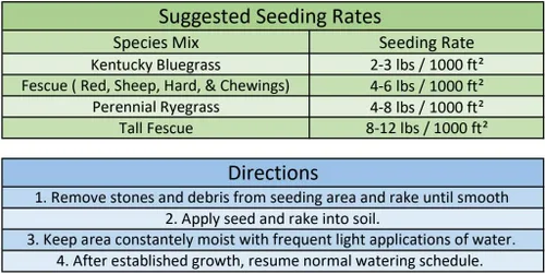 Miniatura 2 de Burlingham Seeds GT Sun&Shade Mix 40% Ryegrass perenne 30% Kentucky Bluegrass 30% Festuca roja rastrera de calidad profesional, 50 libras