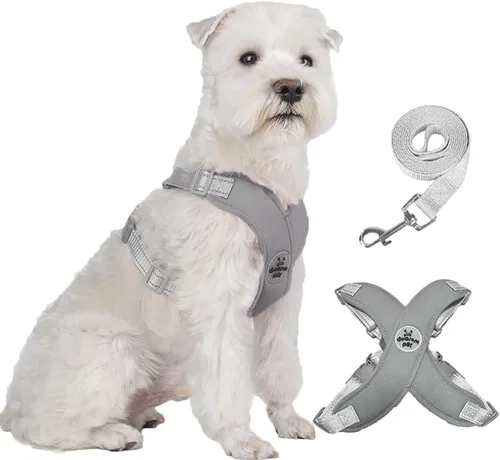 Miniatura 11 de FEimaX Arnés para perro con marco en X para mascotas, sin tirones, juego de correa, ajustable, reflectante, sin estrangulamiento, para cachorros