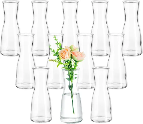 Hewory Jarrones de Cristal para Brotes para Centros de Mesa - Juego de 12 Jarrones de Flores Pequeños Transparentes, Modernos Minimalistas Lindos