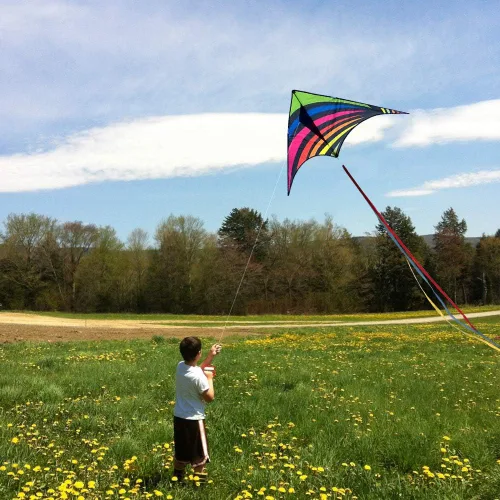 Miniatura 2 de Mint's Colorful Life - Cometa Delta para niños y adultos, cometa extremadamente fácil de volar, las mejores cometas para principiantes