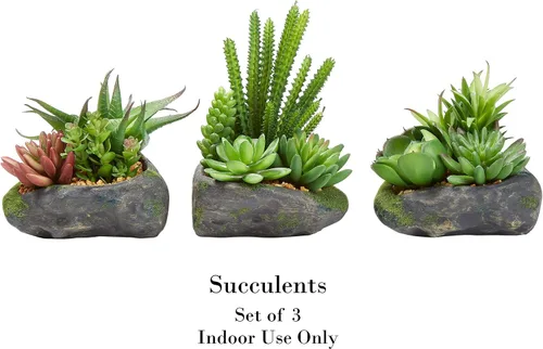 Miniatura 2 de Pure Garden Plantas suculentas artificiales, juego de arreglos de 3 piezas en macetas de piedra sintética y varios tamaños, vegetación realista