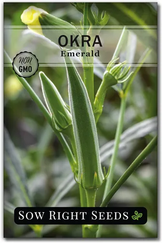 Sow Right Seeds - Semillas de okra esmeralda para plantar - Paquete de reliquia sin OMG con instrucciones para plantar un huerto casero - Cápsulas