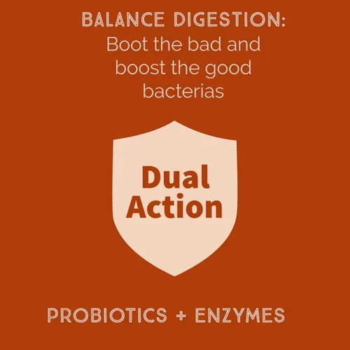 Miniatura 3 de Bacillus B3 Probiótico a base de esporas + enzimas para la salud intestinal y el apoyo del microbioma, probiótico diario estable con Bacillus